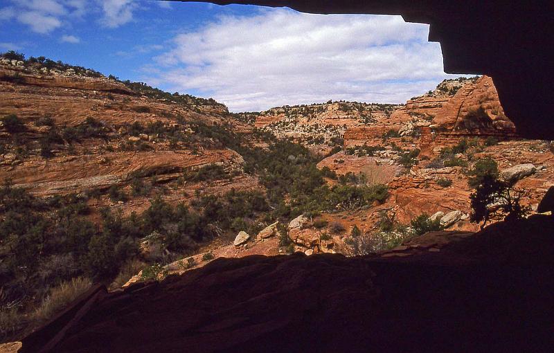 2001-04 Utah Trip 031 Canyon on Cedar Mesa.jpg
